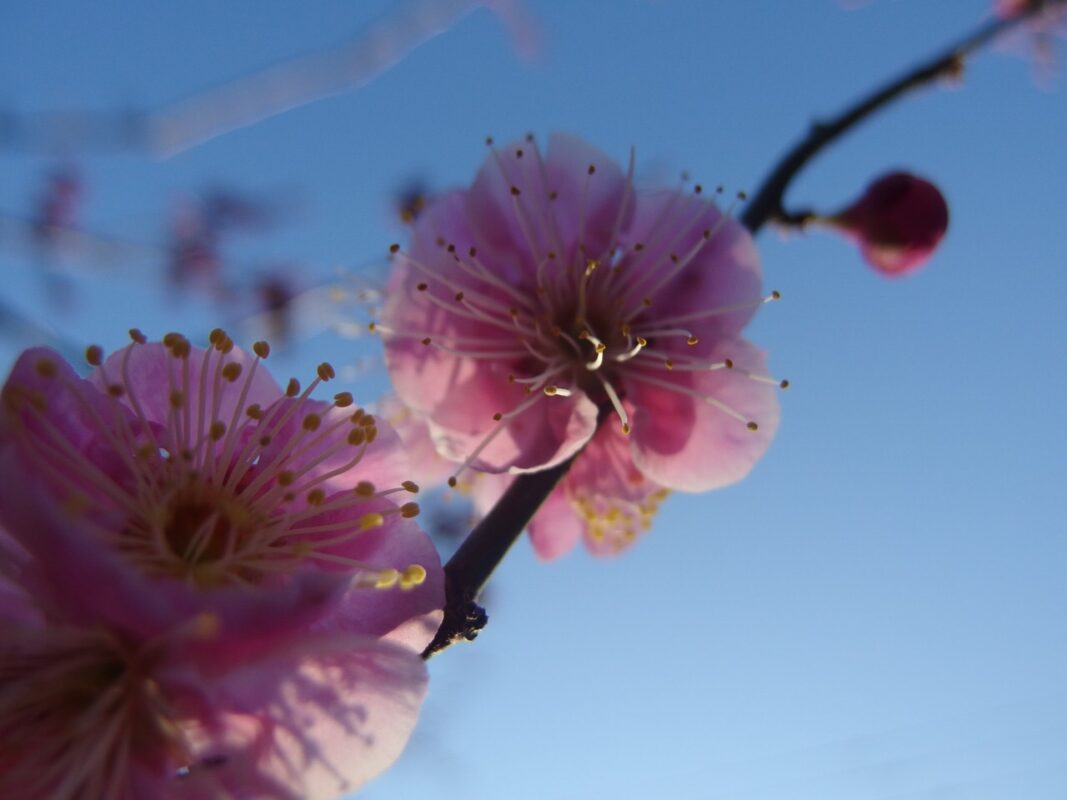 入门菌 | 如果给你再来一发的机会，你会怎么拍