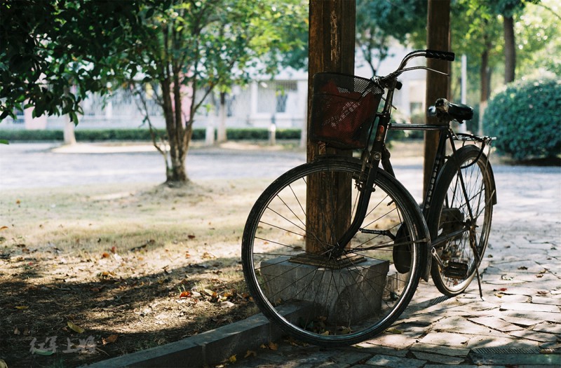 我的大学·单车记-菲林中文-独立胶片摄影门户！