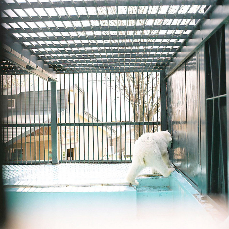 美奈子和可爱的小动物-菲林中文-独立胶片摄影门户！