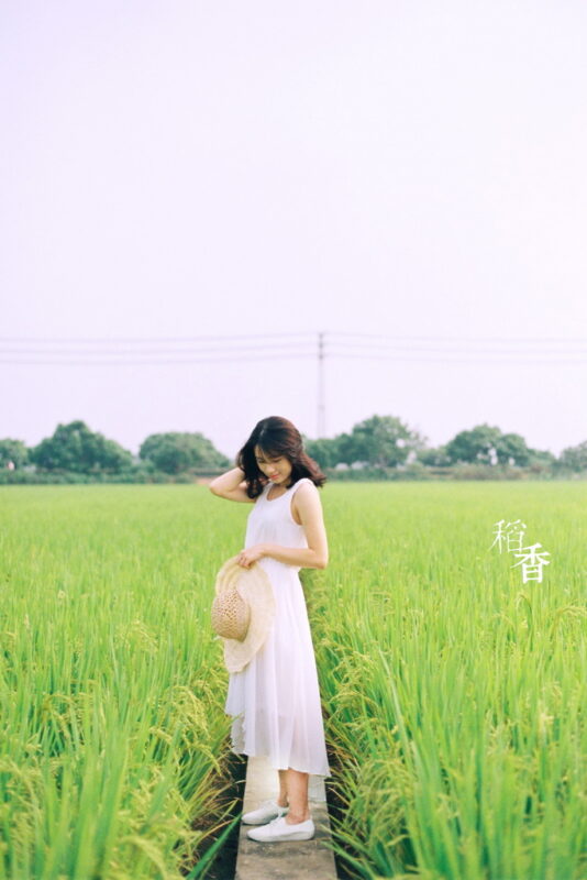 胶片人像：稻香