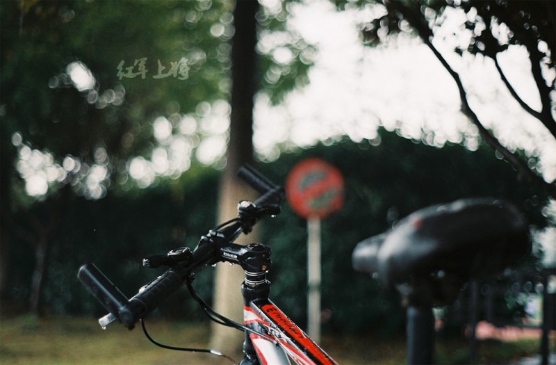 我的大学·单车记-菲林中文-独立胶片摄影门户！