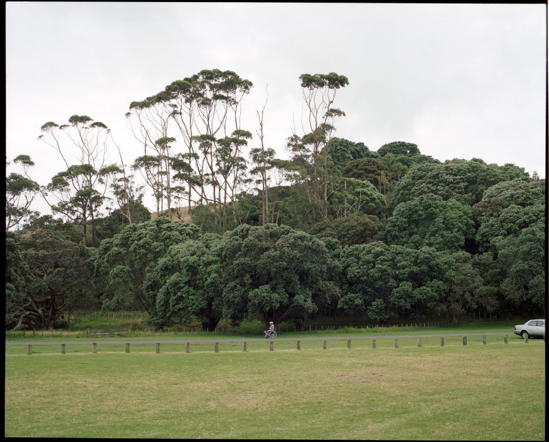新西兰 北岛孤独-菲林中文-独立胶片摄影门户！