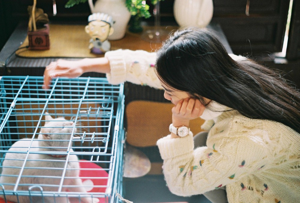 2858e3e9bba499e1824ab99ea7d4c3b9