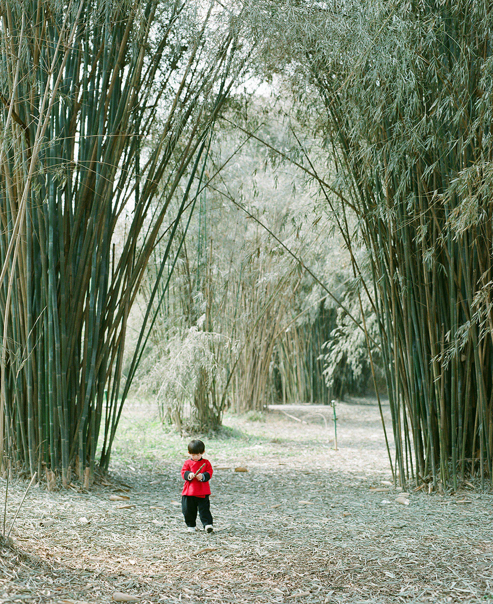 向滨田英明致敬：用PENTAX67II记录最美的童年 @塔奇TaKii-菲林中文-独立胶片摄影门户！