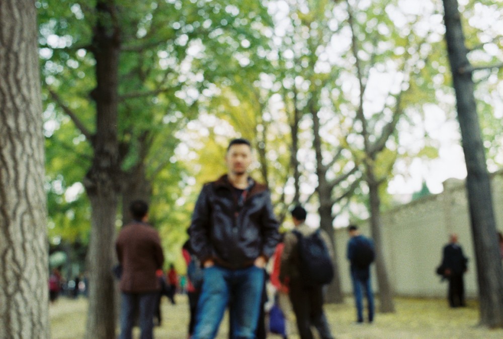 去年秋天  钓鱼台银杏大道 北京-菲林中文-独立胶片摄影门户！