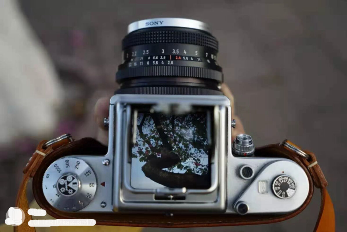 最具性价比的中幅胶片相机-潘太康6