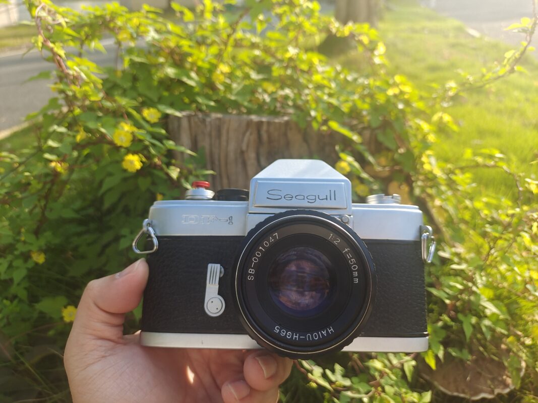 胶片视界 - 海鸥DF-1