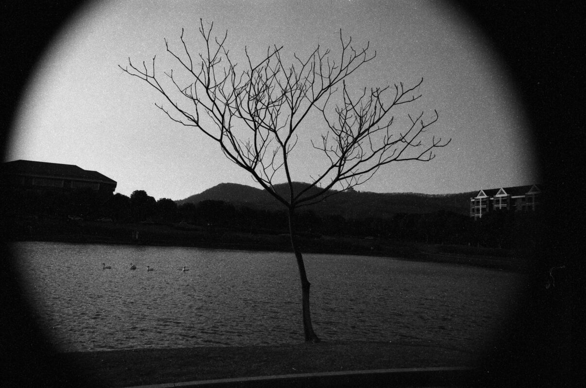 《圆的》上海GP3