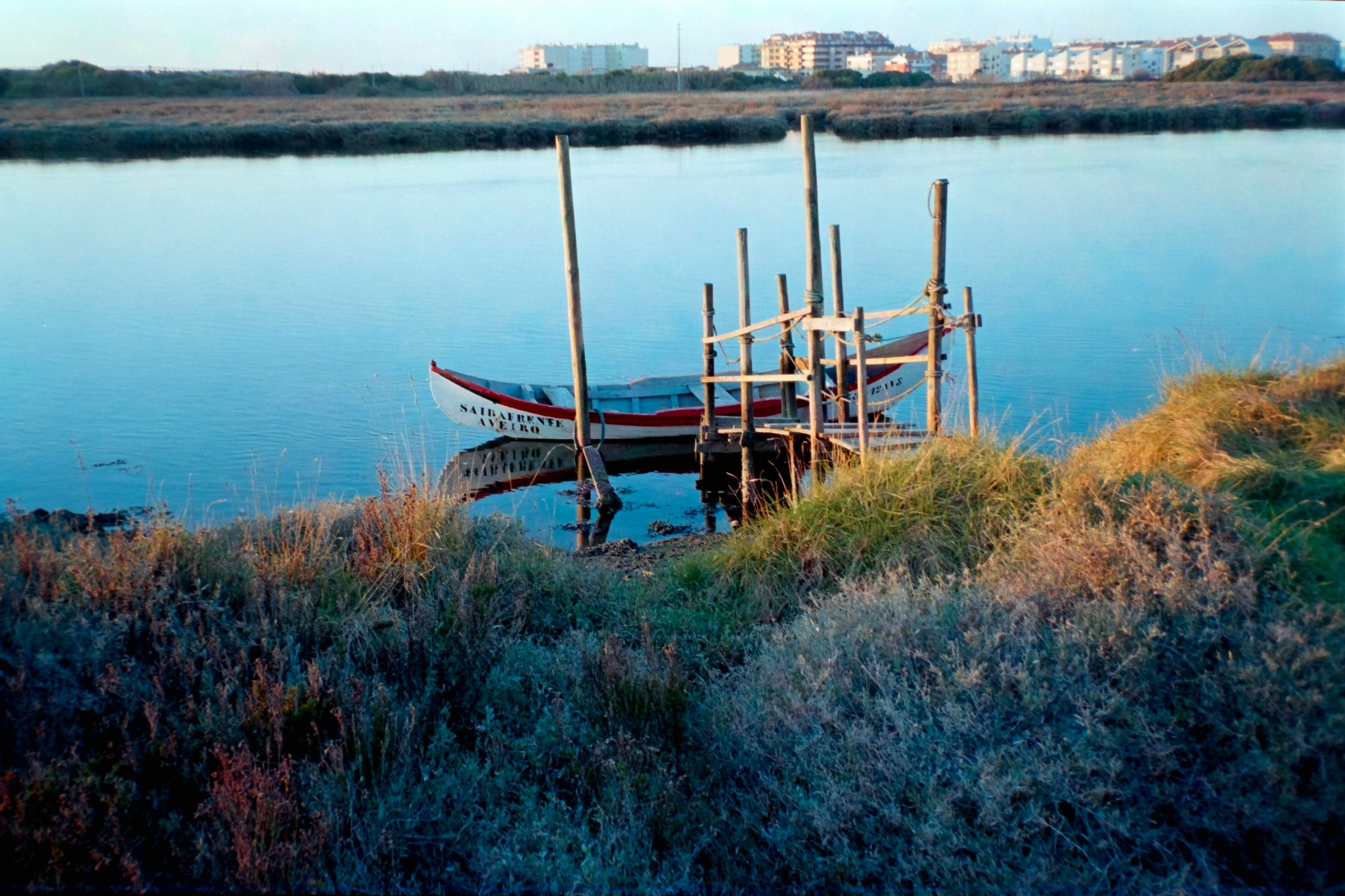 富士C200负片的一些样片，也是我最爱的-菲林中文-独立胶片摄影门户！