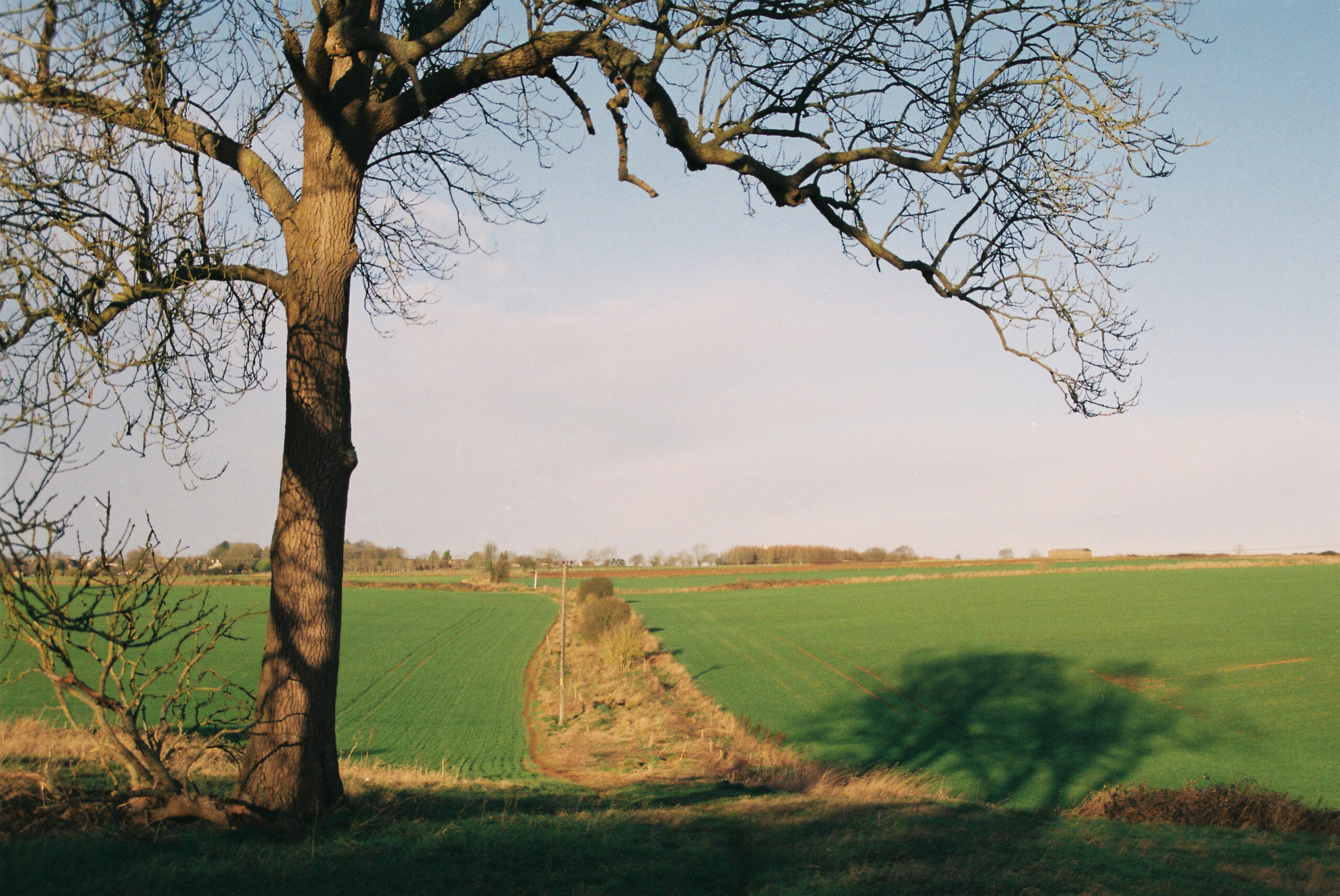 富士C200负片的一些样片，也是我最爱的-菲林中文-独立胶片摄影门户！