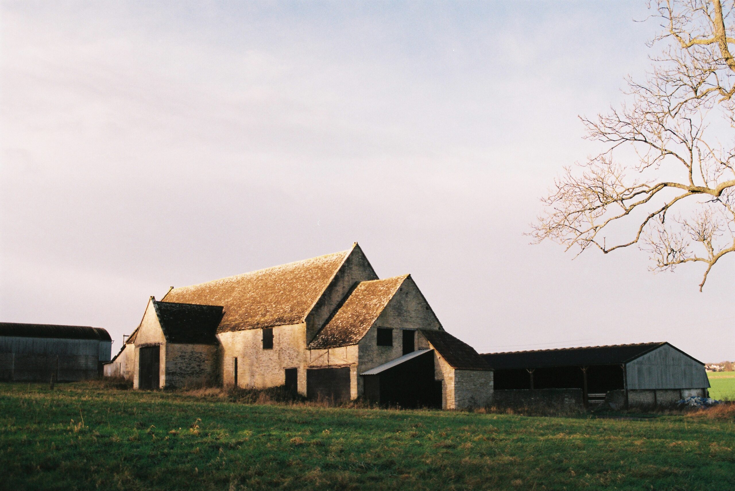 富士C200负片的一些样片，也是我最爱的-菲林中文-独立胶片摄影门户！