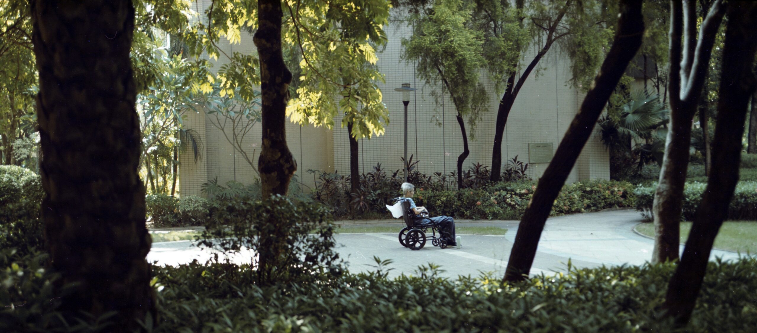 国产乐凯胶卷正式复产-菲林中文-独立胶片摄影门户！