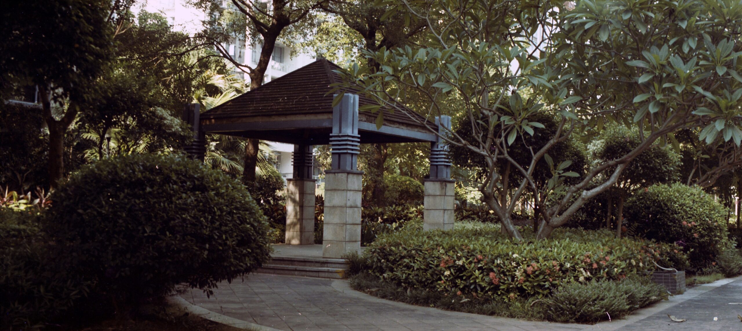 国产乐凯胶卷正式复产-菲林中文-独立胶片摄影门户！