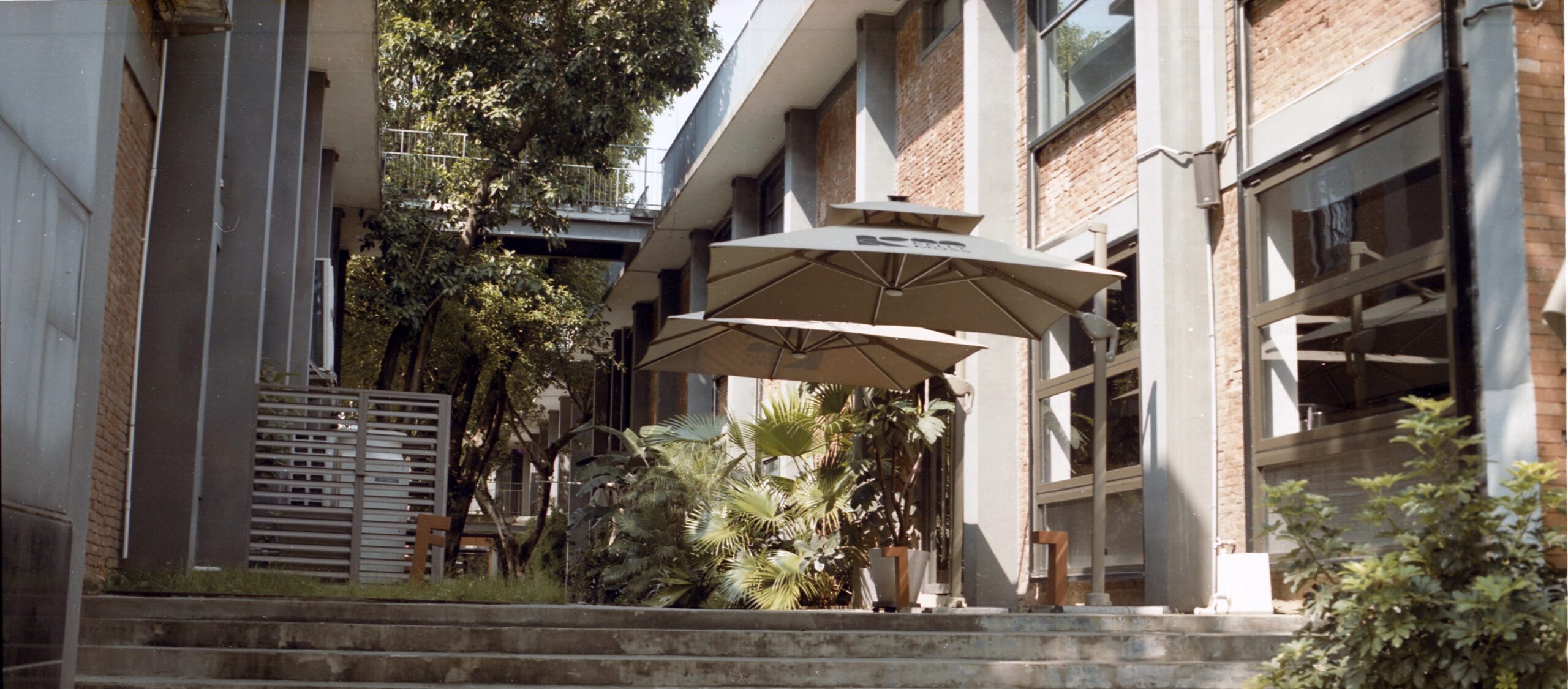 国产乐凯胶卷正式复产-菲林中文-独立胶片摄影门户！