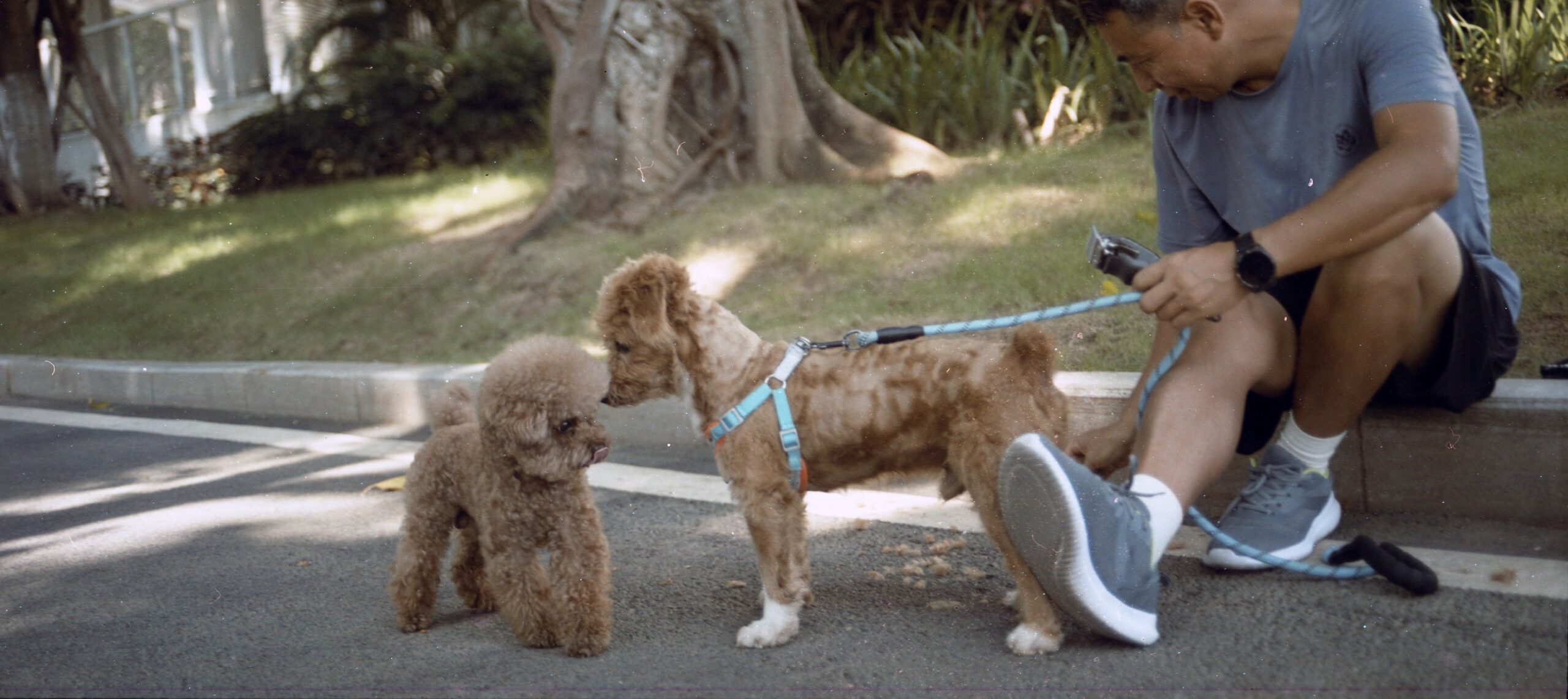 国产乐凯胶卷正式复产-菲林中文-独立胶片摄影门户！