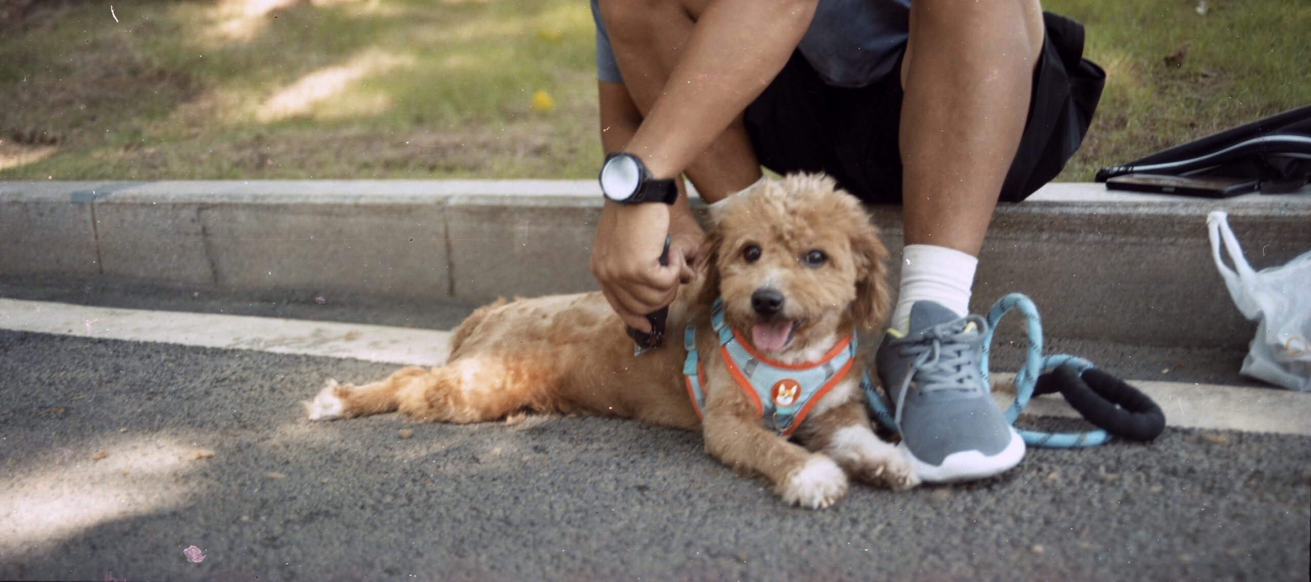 国产乐凯胶卷正式复产-菲林中文-独立胶片摄影门户！