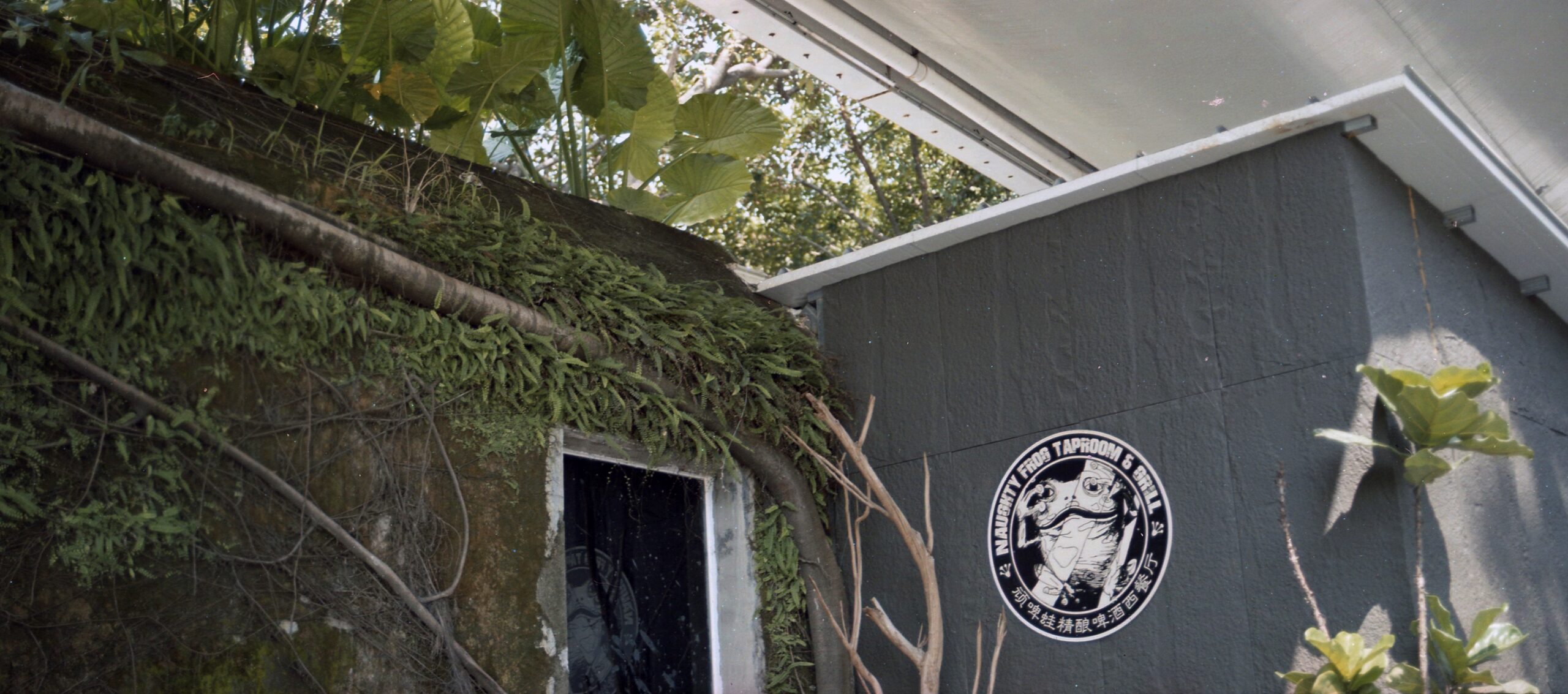 国产乐凯胶卷正式复产-菲林中文-独立胶片摄影门户！