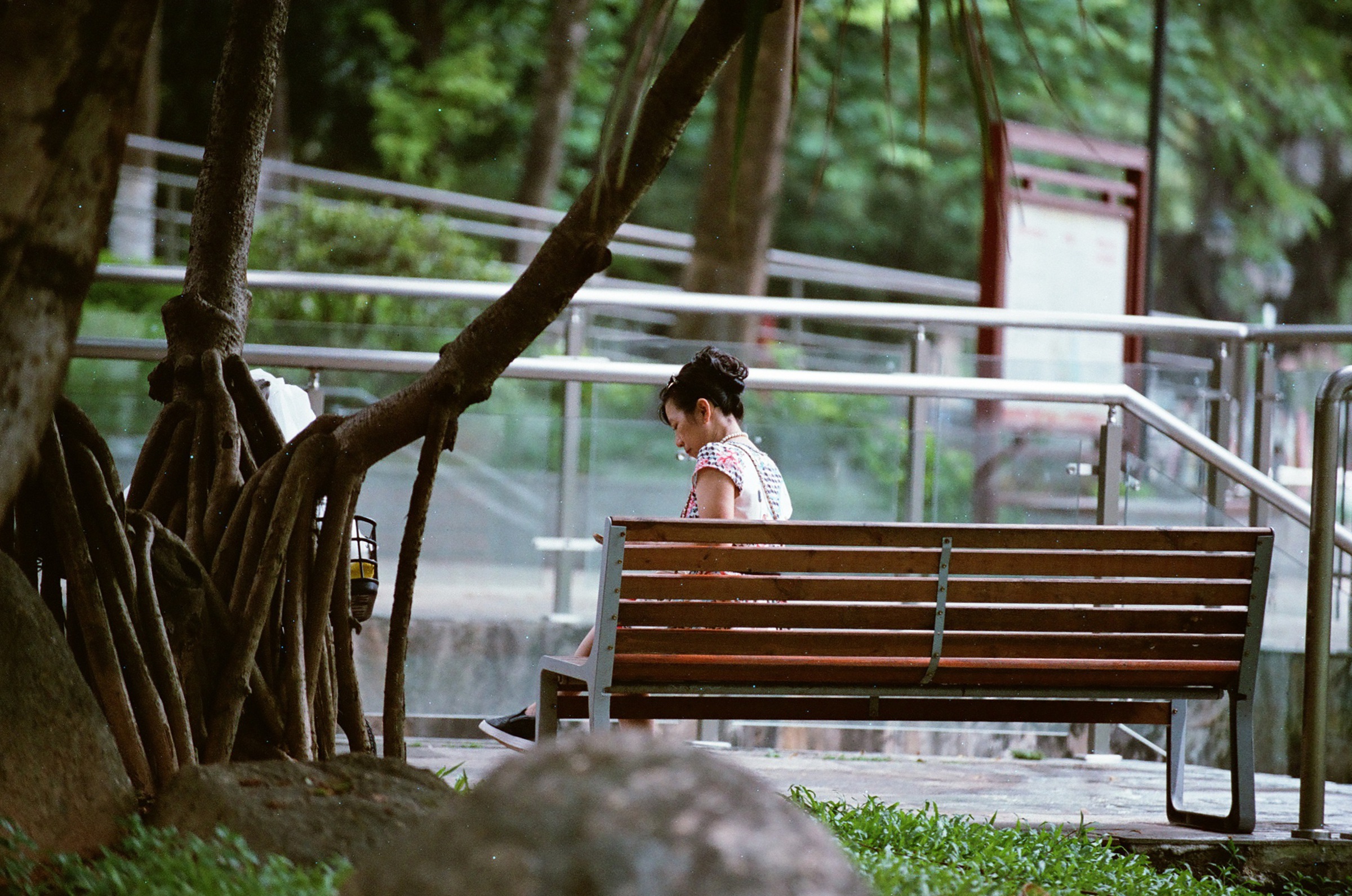 乐凯彩色胶卷回归第二批（Nikon F5+AFS80-200mm/2.8）-菲林中文-独立胶片摄影门户！