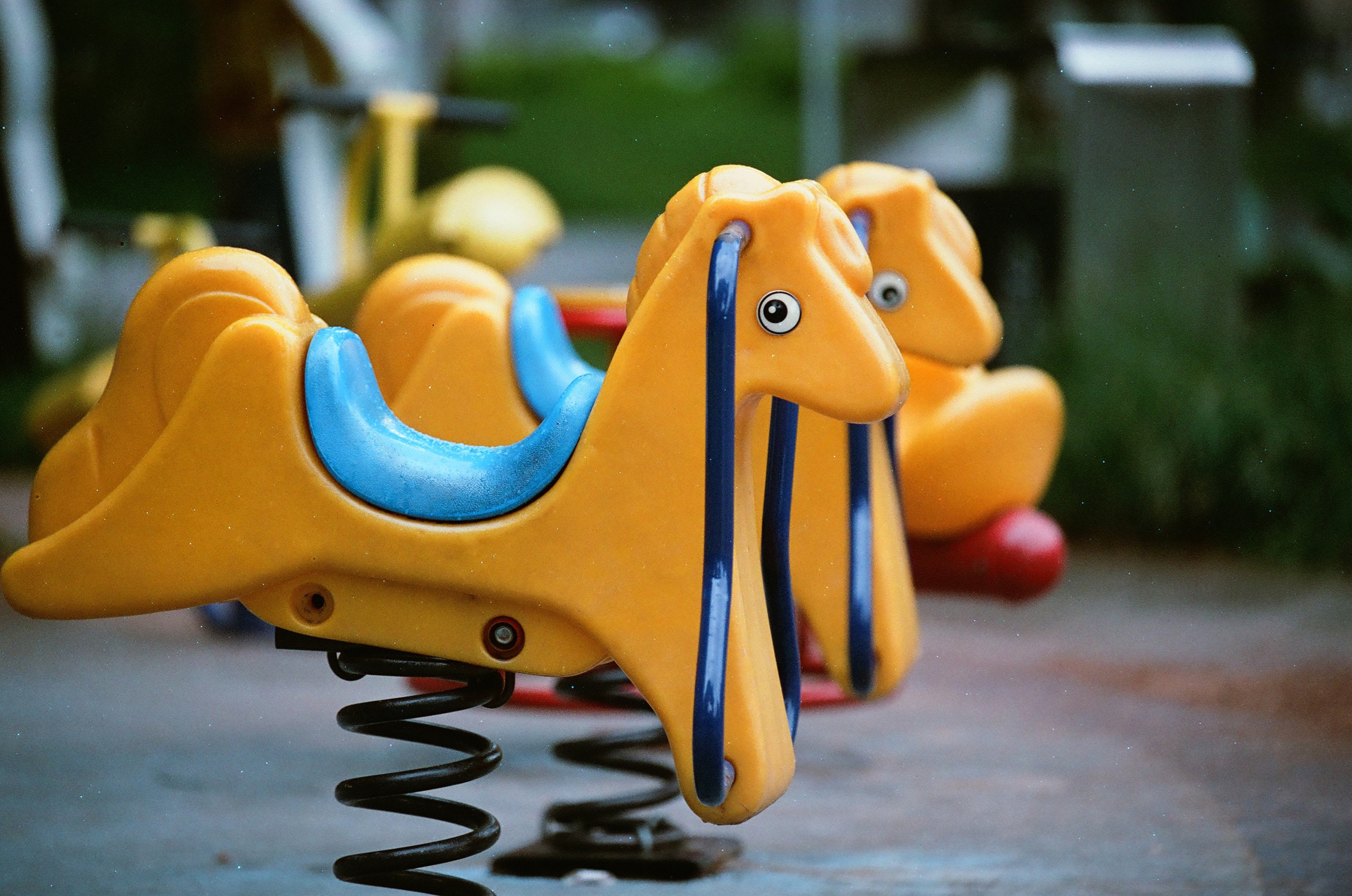 乐凯彩色胶卷回归第二批（Nikon F5+AFS80-200mm/2.8）-菲林中文-独立胶片摄影门户！