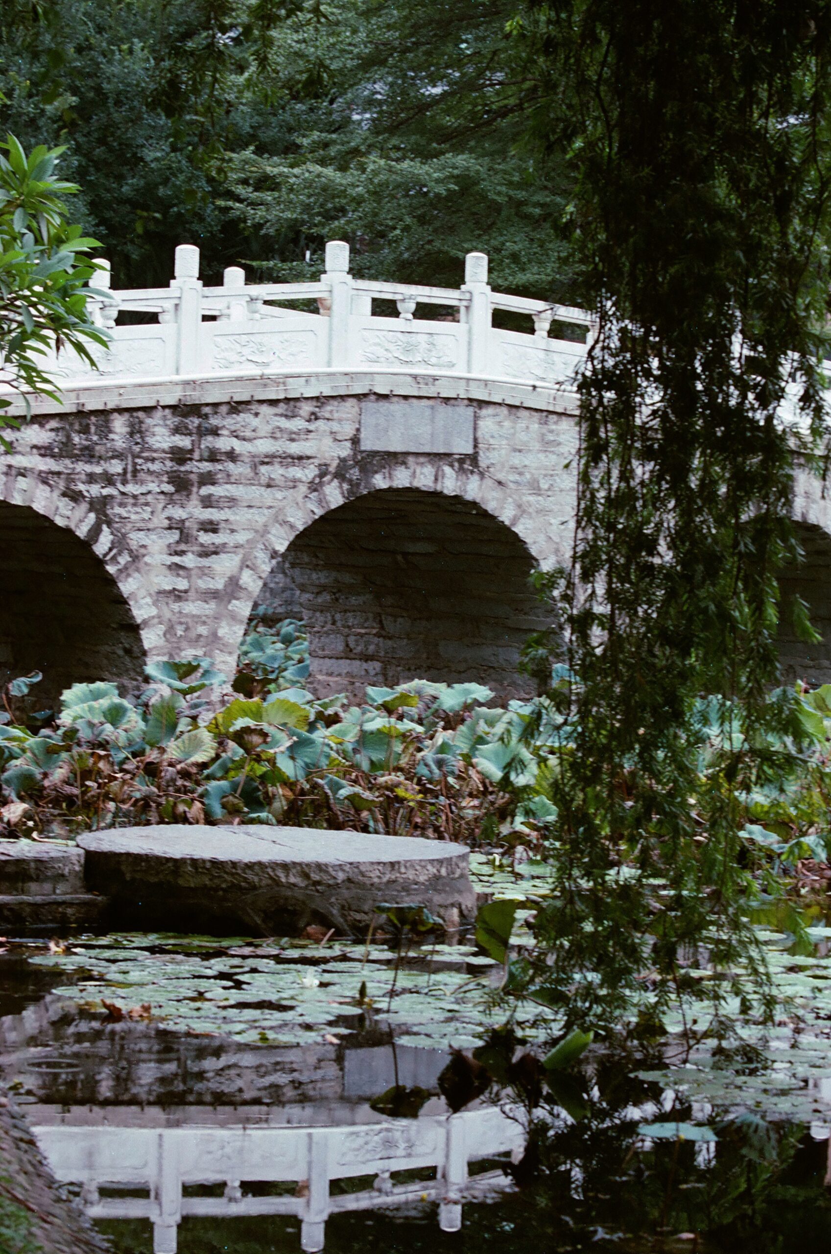 乐凯彩色胶卷回归第二批（Nikon F5+AFS80-200mm/2.8）-菲林中文-独立胶片摄影门户！