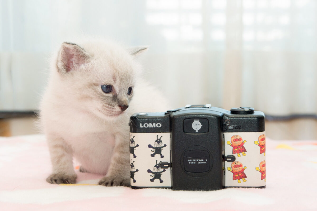挖到宝！这台胶片机拍的照片自带「电影感滤镜」Lomo LC-A（+）
