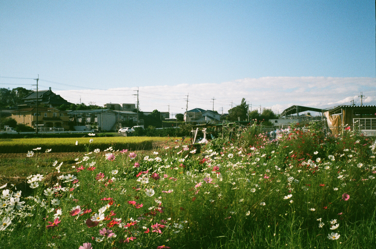 使用OLYMPUS Trip35拍摄的日常生活