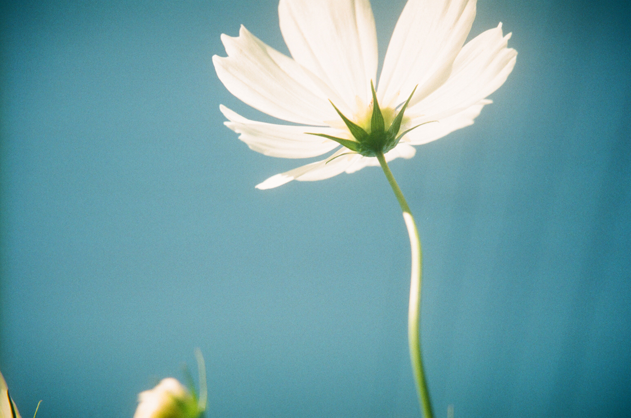 使用OLYMPUS Trip35拍摄的日常生活