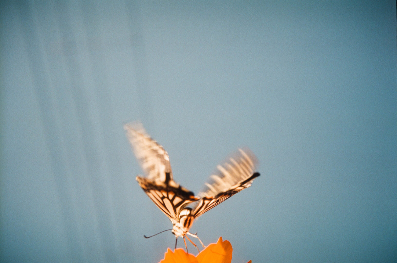 使用OLYMPUS Trip35拍摄的日常生活