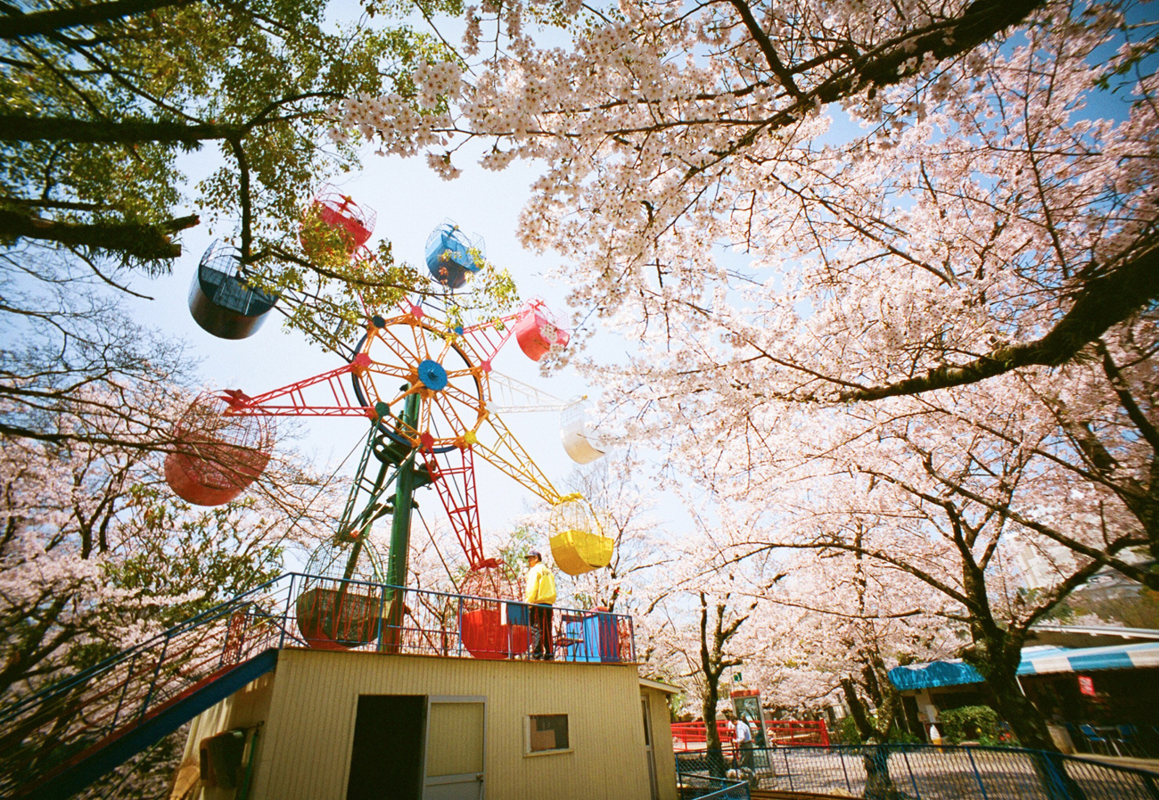 用LOMO LC-Wide拍摄的摩天轮