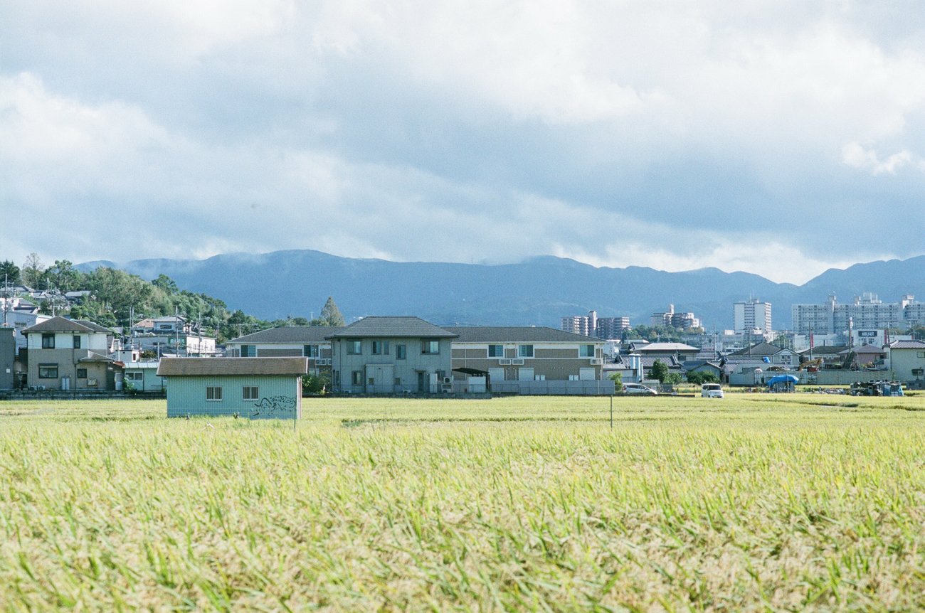 奥林匹斯之神透镜