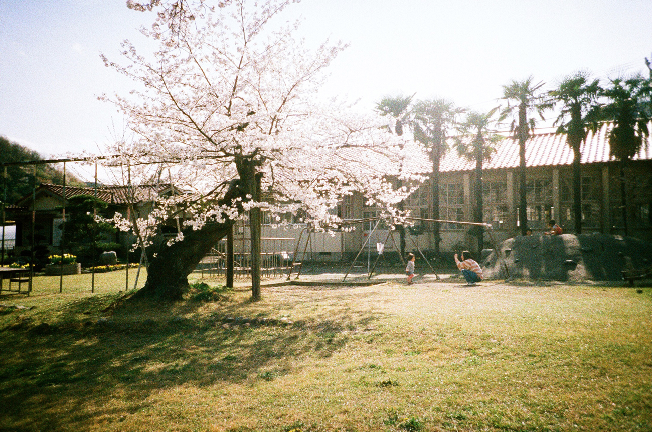 微距镜头和胶片相机