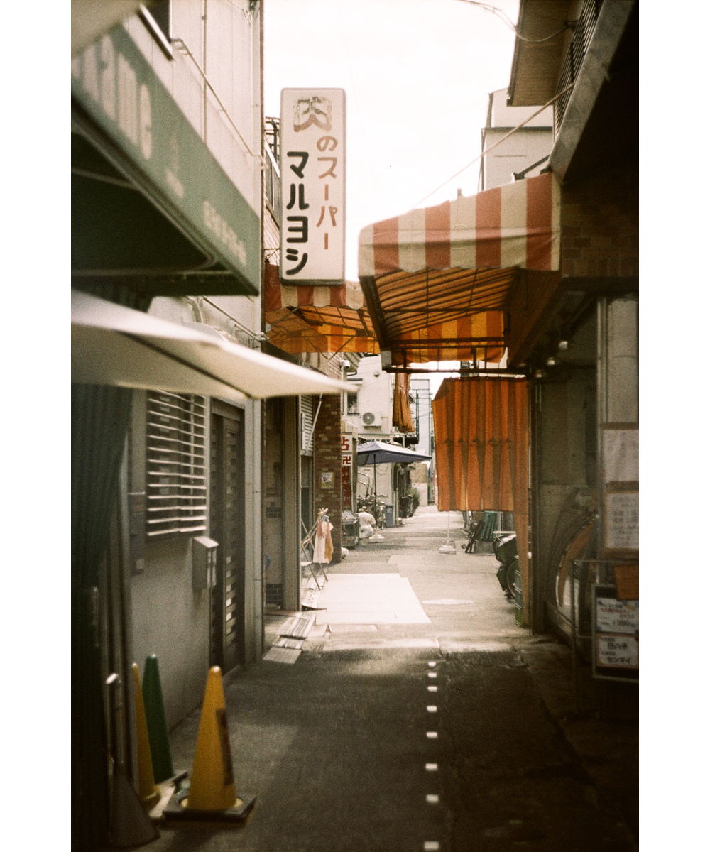 用胶片拍摄的外面猫